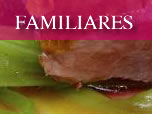 menús para familias, menús familiares